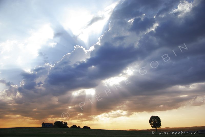 Rayons de soleil avec nuages d'orage et arbre et maison en silhouettes