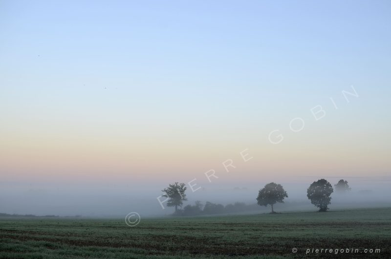 Paysage brumeux et mélancolque un matin à Vigneux de Bretagne