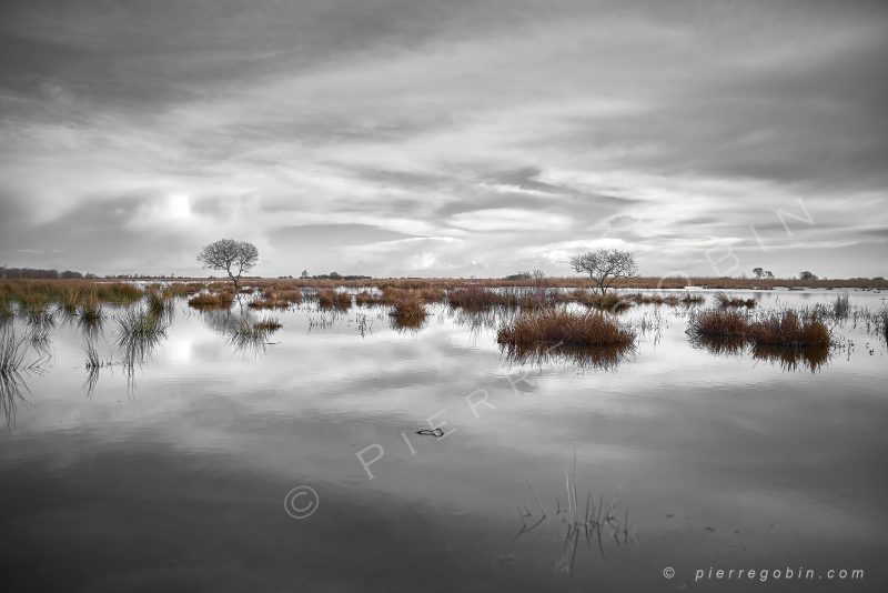 Paysage des marais de la Grande Brière avec les reflets des arbres