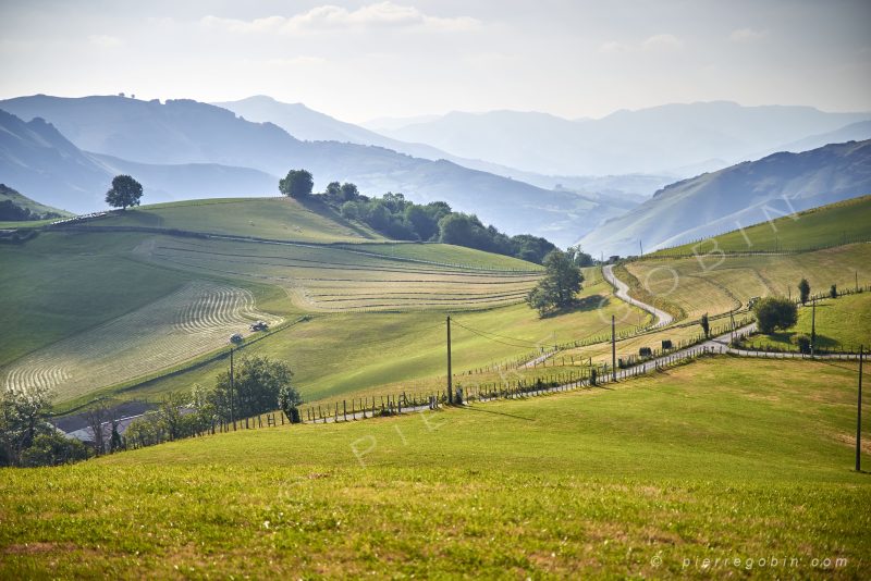 Paysage d'une vallée en Pays Basque avec ses collines verdoyantes