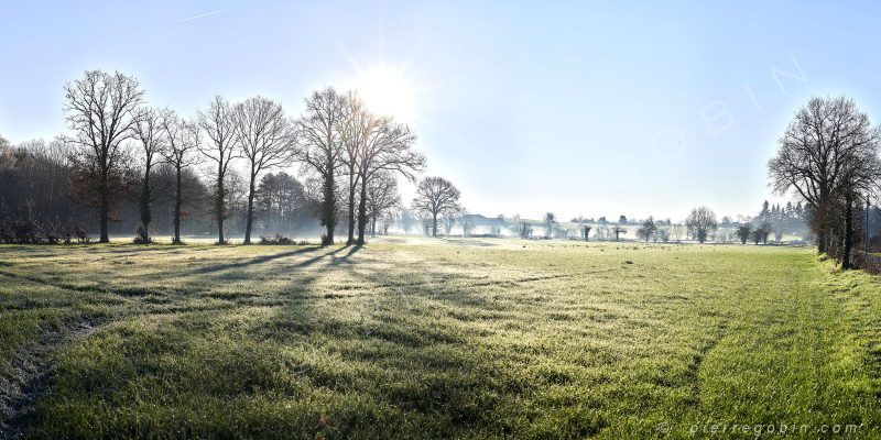 A Carquefou, lever de soleil en campagne sur un pré verdoyant